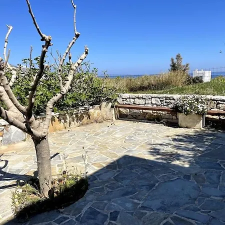 Ariadne's - Apollonas *