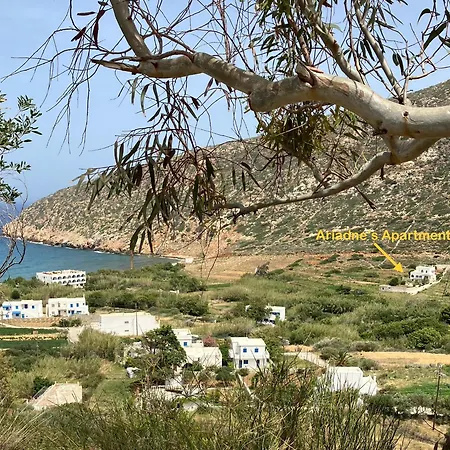 Ariadne's - Apollonas Apartamento